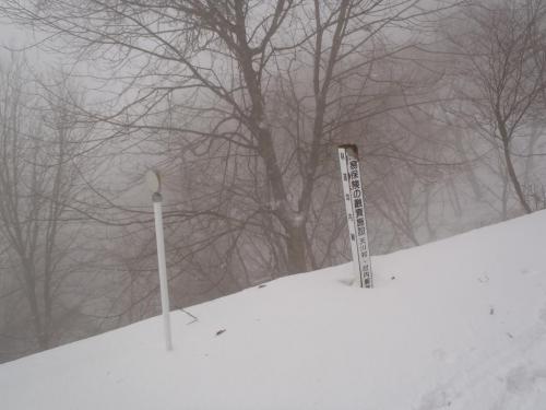 林道坪内線・・・昔はここまで車で来れたんやね