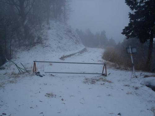 ここから坪内林道に入るな的なところだけど、歩く分には問題なかった