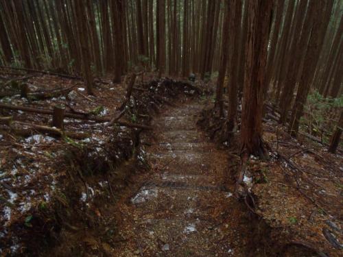 鉄塔から登山口までは短い距離だけど結構急登