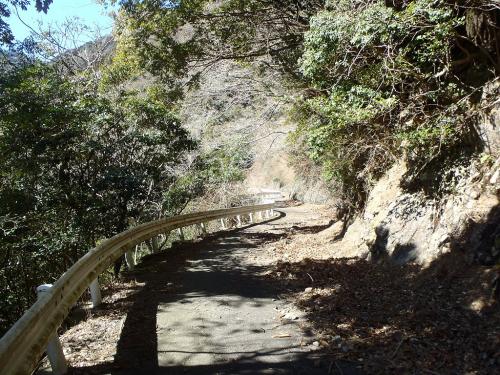 長い林道が続く