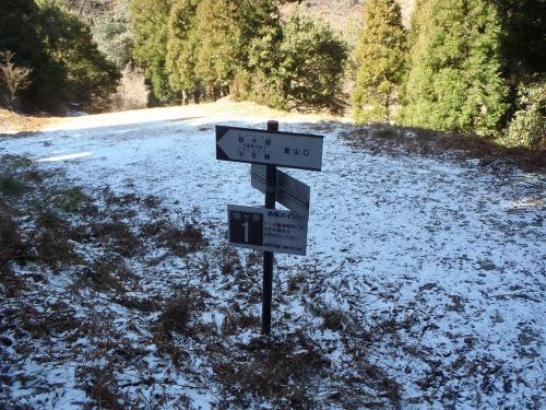 ここが登山口のようだ
