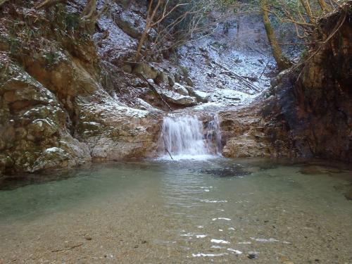 やっぱ仙ヶ岳の沢は綺麗だわ