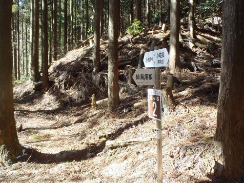 ここで仙鶏尾根に向かうので左