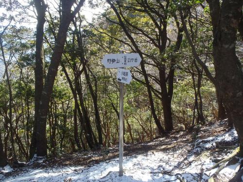 仙鶏尾根に到着