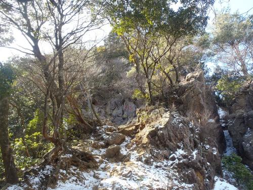 ここから標高100mほどかなり急登になる。というより、むしろ岩を登るが正しいのかも