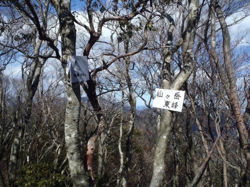 仙ヶ岳・東峰(955m)に到着