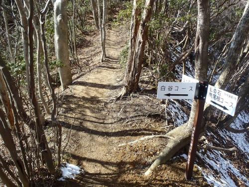 分岐で前は白谷コースからだったのでここに出てきた