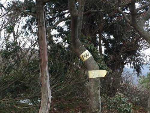 P903に到着。というか、テープで乱暴に書いてた