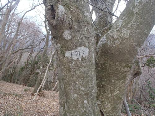 P919に到着。こっちはさらに乱暴に木に彫ってあった