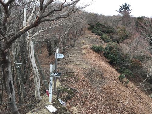 雪がずっと降っていたのでここでエスケープしようか考えたけど天気が回復しそうだったので、入道ヶ岳まで進んでいくことにした