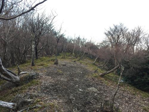 じゃんじゃん進む