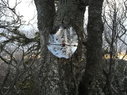 もうひとつのピークには宮越山と書いてたけど、このプレートはもはやサビサビだった