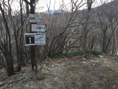 イワクラ尾根分岐に到着。鎌ヶ岳から入道ヶ岳のときもここで曲がったので、これで鎌ヶ岳～仙ヶ岳までの鈴鹿の稜線を歩いたことになる。どちらもかなりハードな稜線歩きだった。