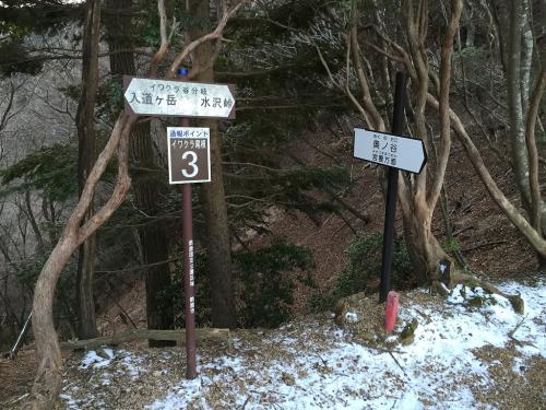 ここが宮妻渓への分岐。ここから最後のつらい登りになる