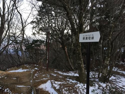 県境稜線。ここまでせっかく必死に登ってきたのに一回下らされる