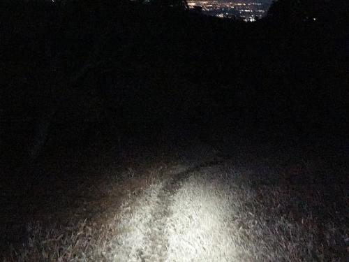 入道ヶ岳の草原地帯だがもう真っ暗