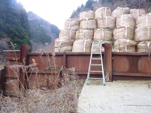 この梯子を登る