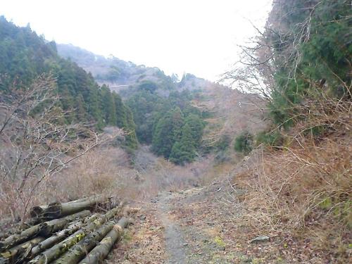 ひたすら林道をまっすぐ