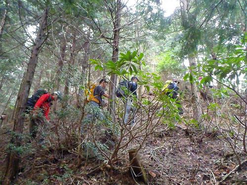 急登だが登りやすい
