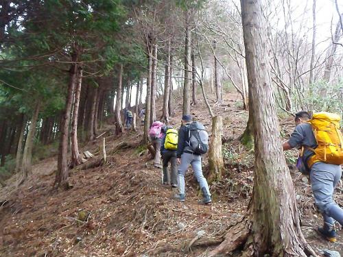 次の鉄塔まではすぐだった