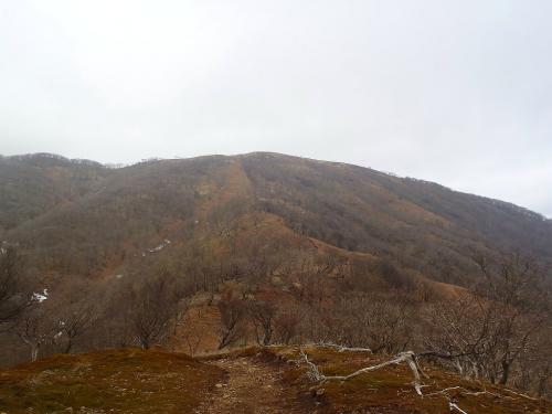 ここでワンピークで最後の鈴北岳への登りになる