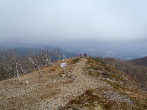嫁とひでぶ～さんが後でやってくる。春霞かやっぱ天気はいまいち