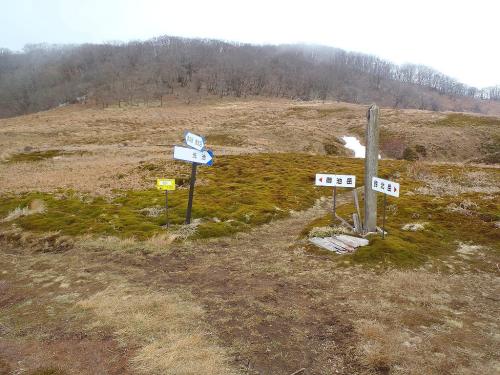 ここで左へ行く