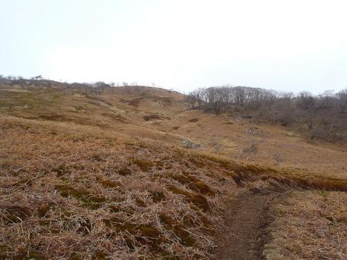 歩いていて気持ちの良い高原地帯