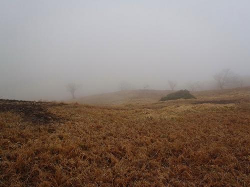 ボタンプチに行こうと思ったけどこの通りのガスで、奥の平までにすることにした