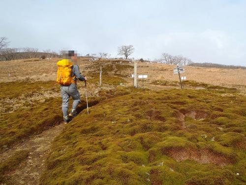 ここで分岐に戻る