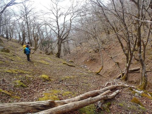 谷はもはや道なき道だったので左側の尾根から降りていく