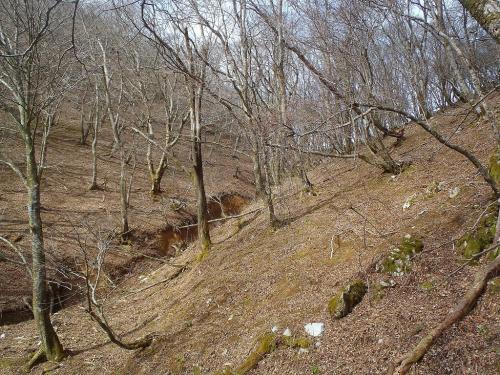 ここで右手のヒルコバまで登る