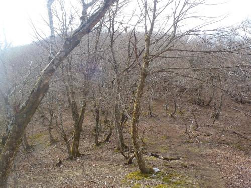 鈴ケ岳への登りは最初急登