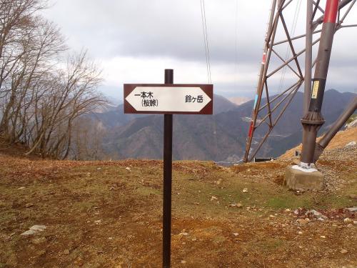 この鉄塔後ろ側に巡視路があって、そこを下ることになるが、わからずこのまま稜線を進む