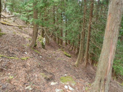 踏み跡はありながらもここから急斜面になり無理矢理降りる