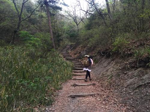 相変わらず階段はすごい