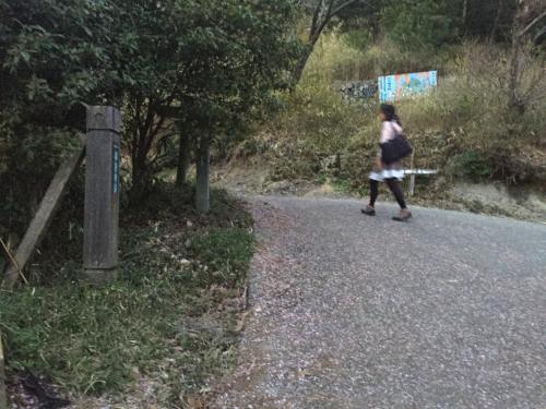 舗装道と合流。S嬢は重い荷物も持って登ったのでバテバテ。ひでぶ～さんにしばらく持ってもらったが・・・