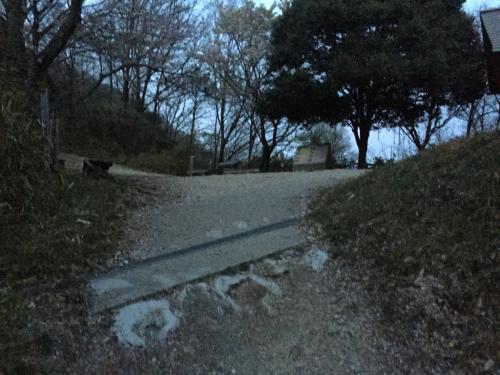 やっとみえた馬の背