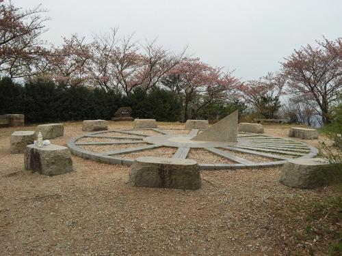 やっぱ桜はかなり散ったようです