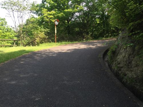 ひたすらこんな舗装道が続く