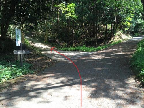 ここで管理道から展望台の左へ