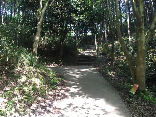 これ直進の階段を登る