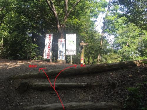 階段を登り切ると分岐で左が展望台、右が頂上。まずは展望台へ向かう