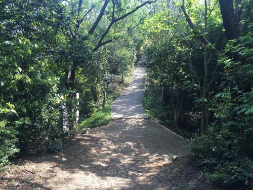 続いて頂上を目指す