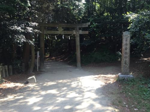 頂上手前に鳥居があった