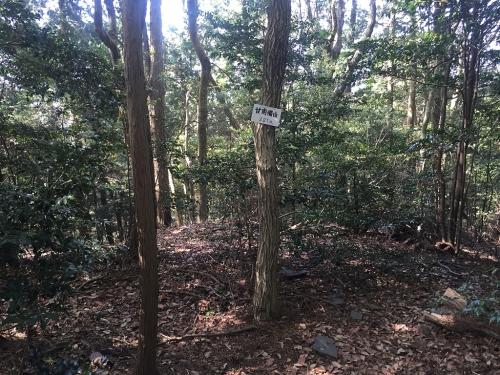 甘南備山頂（221m）到着。こっちが甘南備山の雄山らしい