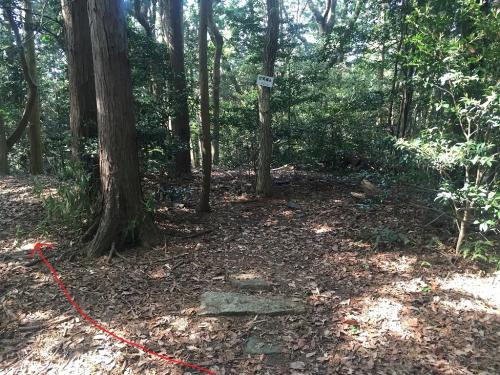 山頂から三角点は左側のこの道を降りていく