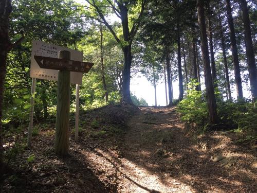 なにやら開けたところが見えた！三角点までもうすぐ