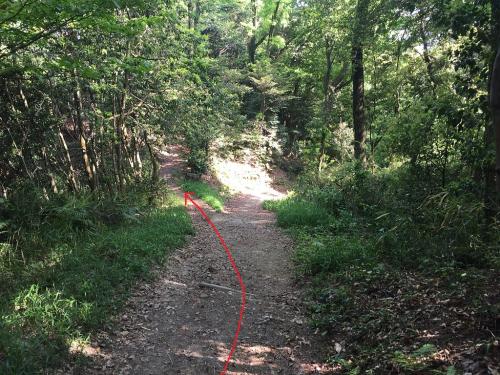 下山開始。少し戻って左側の巻き道を使う