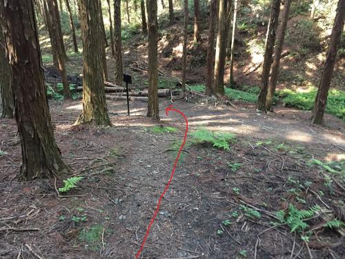 ここで雨乞いの小径（下山道）と合流